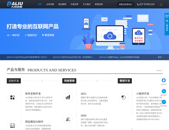 大刘信息软件开发