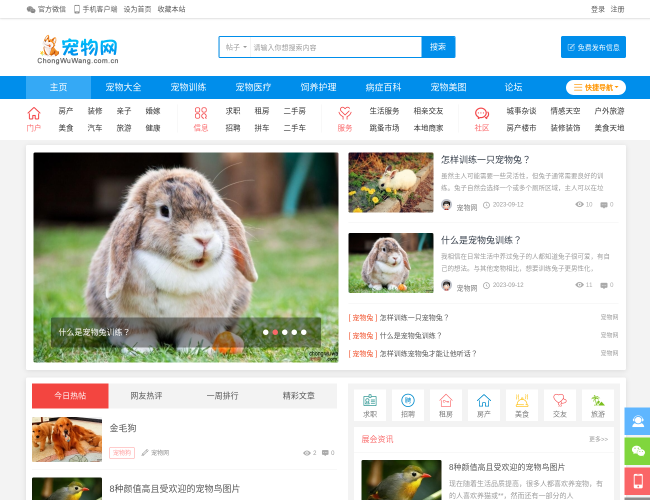 宠物网