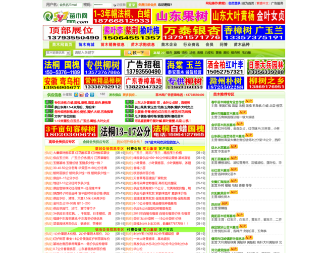 597苗木网