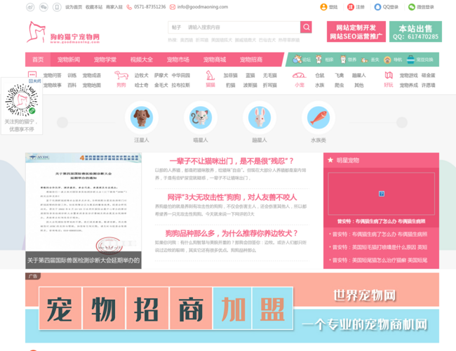 狗的猫宁宠物网