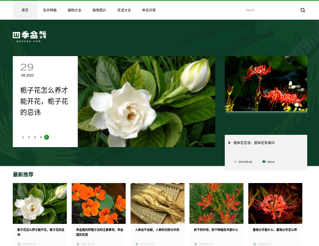 四季盆栽