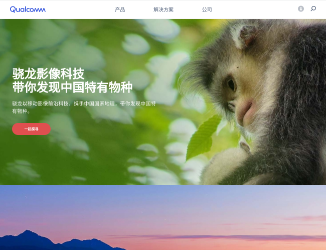 Qualcomm 高通官方网站