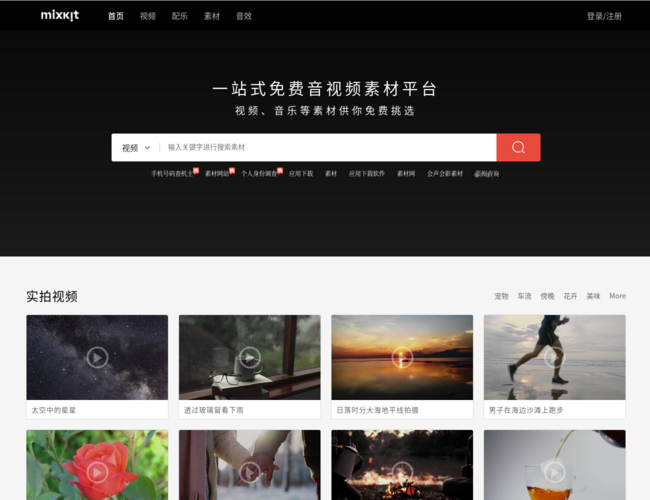 Mixkit视频素材网 P3Elj6452F.png